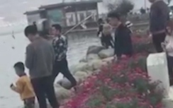 Video: Bị cảnh sát tóm vì... nghe lời trẻ con giết chim hải âu