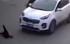 Video: Bé trai rơi từ xe đạp điện bị ô tô cán qua người