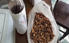 3 người tử vong khi vừa uống rượu: Có độc tố giống lá ngón