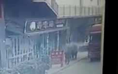 Hai tấm bê tông rơi từ thùng xe đè nát nhóm người đi bộ