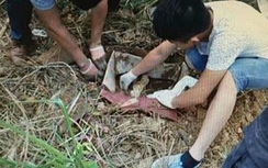 Sốc: Cứu kịp thời bé sơ sinh nghi bị mẹ đẻ chôn sống