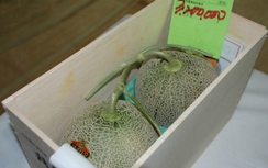 Đại gia chi khoản tiền lớn ngang chiếc ô tô mua đôi dưa lưới