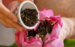 Những đặc sản làm từ hoa sen Hồ Tây khiến lòng người khó cưỡng