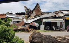 Cổ thụ đè nát nhà dân giữa Sài Gòn, bé 13 tuổi nhập viện