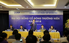 Tập đoàn FLC đạt tăng trưởng doanh thu 87,8% năm 2017