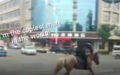 Phi ngựa ra đường vì bị CSGT phạt say rượu khi lái xe