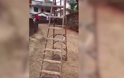 Video: Chiếc thang biết tự bước đi khiến nhiều người kinh hãi
