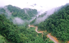 Người mở đường huyền thoại (Kỳ cuối): Hồi sinh “Con hổ xám Trường Sơn”