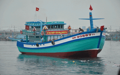 Hạ thủy tàu cá thay thế tàu bị Trung Quốc đâm chìm