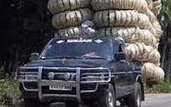 Ô tô 7 chỗ chở hàng trên nóc có bị xử phạt?