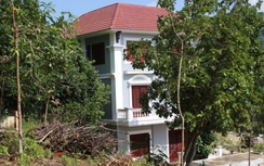"Khai tử" hai biệt thự “chui” trên đất rừng Hải Vân