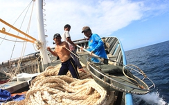 Một tuần đánh cá giữa Hoàng Sa cùng "ngư dân VIP"