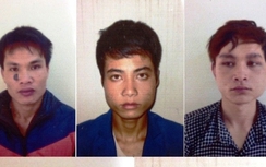 Triệt phá đường dây trộm cắp, mua bán gỗ sưa liên tỉnh