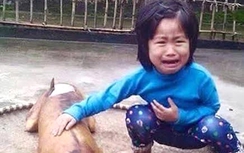 Ảnh bé gái 5 tuổi ôm chó bị giết thịt lên báo Anh
