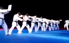 Mãn nhãn xem màn biểu diễn võ thuật tung liên hoàn cước