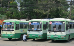 TP. HCM: Doanh nghiệp đề nghị sớm được quảng cáo trên xe buýt