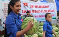 Đoàn Thanh Niên trong cả nước thu mua dưa hấu ngập lụt