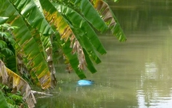 Tìm danh tính một phụ nữ tử vong trên rạch Trấn Định