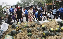 Thường vụ Quốc hội "bắt bệnh" dưa hấu, hành tím