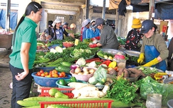 Xăng tăng giá liên tiếp, hàng hóa khó đứng yên