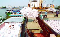 Xuất khẩu nông sản đạt 11,4 tỷ USD sau 5 tháng