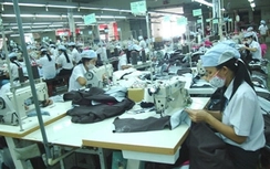 Kim ngạch xuất khẩu sang Hàn Quốc tăng mạnh