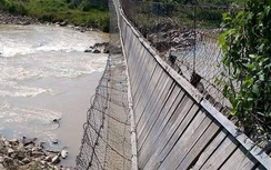 Bò làm sập cầu treo ở Kon Tum