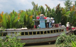 Tìm thấy hai thi thể trong vụ chìm tàu trên sông Tiền