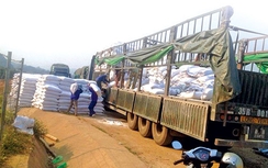 Hậu trường loạt bài điều tra đoạt giải B Báo chí quốc gia 2015