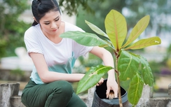 Hoa hậu Ngọc Hân khoe vẻ đẹp rạng rỡ xua tan nắng hè