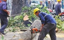 Kiểm điểm Phó Chủ tịch TP Hà Nội, giáng chức nhiều cán bộ