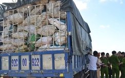 Phá đường dây “phù phép” xương thối thành… hạt nêm, xì dầu