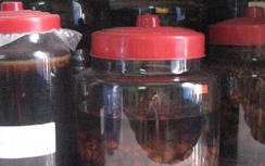 Giận bố mẹ, đá chân vào hũ rượu suýt chết