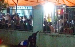 Một phụ nữ chết thảm trong rẫy cà phê