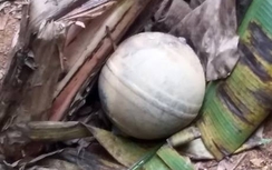 Thêm một vật thể lạ rơi xuống vườn nhà dân ở Yên Bái