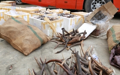 CSGT Hà Tĩnh bắt xe khách chở sừng động vật hoang dã