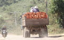 Đắk Lắk: Xe quá khổ, quá tải vẫn tung hoành trên Tỉnh lộ 9