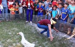 Quảng Trị tổ chức nhiều hoạt động vui xuân đón Tết