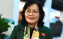 Cải cách thôi thúc nữ đại biểu Quốc hội làm luật hành chính công