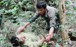 Vận chuyển gỗ trái phép, nhóm lâm tặc hung hãn tấn công kiểm lâm
