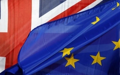 Cử tri Anh tiếp tục chia rẽ việc "đi hay ở" EU