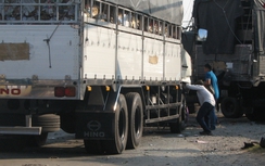 Xe tải chở trứng tông sập tường Trạm kiểm dịch động vật