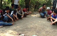 Tạm giữ hình sự đối tượng tổ chức đá gà ăn tiền