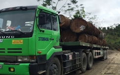 Phó Thủ tướng chỉ đạo xử lý nghiêm xe quá tải ở Nghệ An