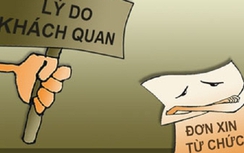 Sinh con thứ 3, Phó giám đốc Sở xin từ chức