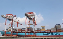 Hàng hóa Việt Nam xuất thẳng sang bờ Đông của Hoa Kỳ