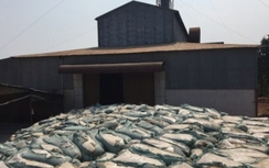 Phát hiện nhiều hoạt động trái phép trong Khu bảo tồn ở Đồng Nai