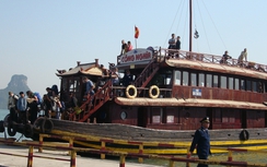 Tàu, đò chở khách du lịch có biển hiệu riêng