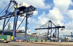 Đổi mới kinh tế và chính trị là nhu cầu cấp thiết