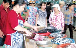 Kích cầu hải sản miền Trung sau “thảm họa” cá chết